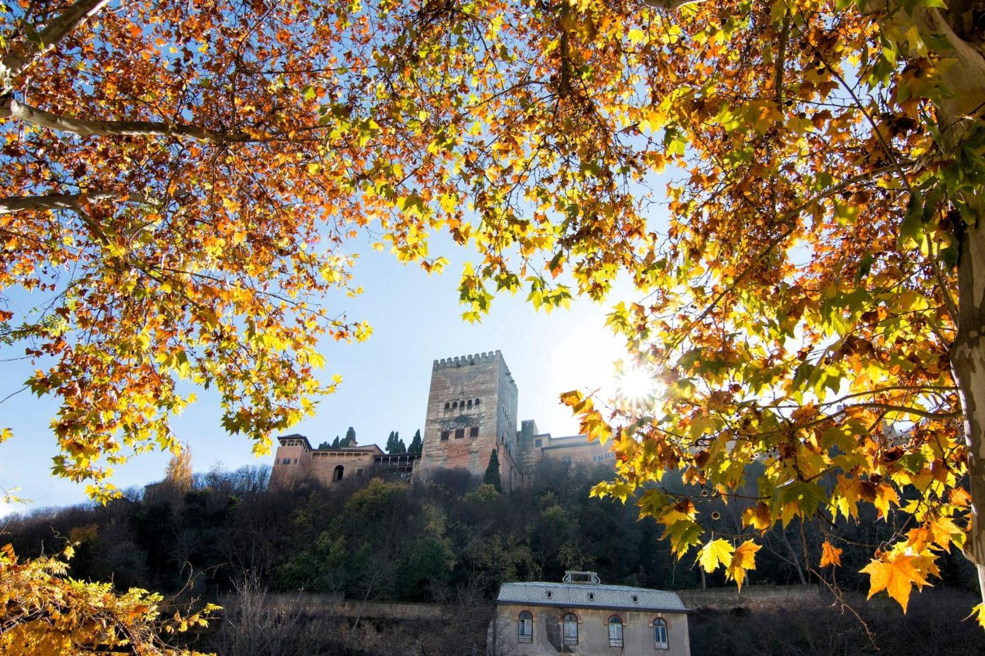Luxury Alhambra Hideaway Leilighet Granada Eksteriør bilde